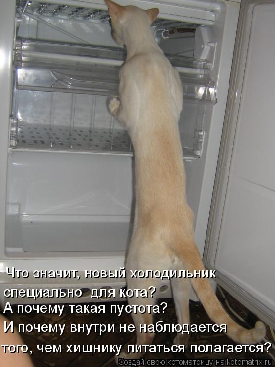 того, чем хищнику питаться полагается? И почему внутри не наблюдается А почему такая пустота? специал... Котоматрица: того, чем хищнику питаться полагается? И почему внутри не наблюдается А почему такая пустота? специально для кота? Что значит, новый холоди?