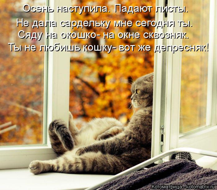 Котоматрица: Осень наступила. Падают листы. Не дала сардельку мне сегодня ты. Сяду на окошко- на окне сквозняк. Ты не любишь кошку- вот же депресняк!