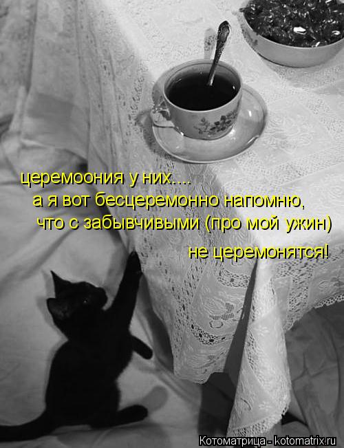 церемоония у них.... а я вот бесцеремонно напомню, что с забывчивыми (про мой ужин) не церемонятся!... Котоматрица: церемоония у них.... а я вот бесцеремонно напомню, что с забывчивыми (про мой ужин) не церемонятся!
