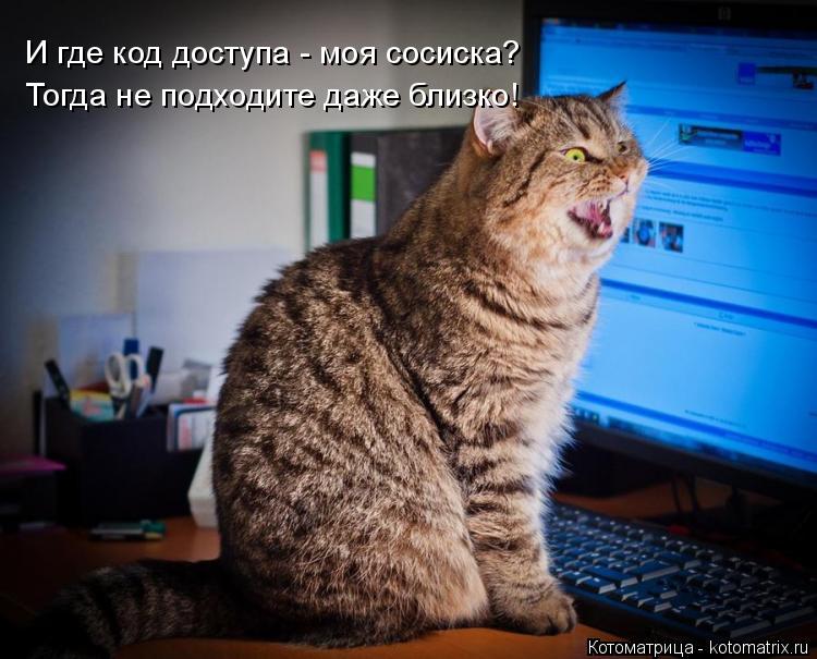 И где код доступа - моя сосиска? Тогда не подходите даже близко!... Котоматрица: И где код доступа - моя сосиска? Тогда не подходите даже близко!