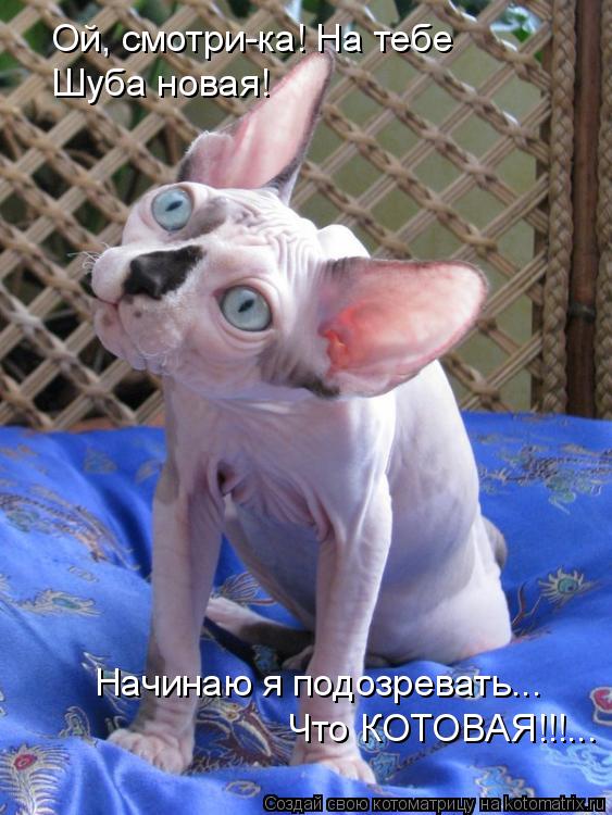 Ой, смотри-ка! На тебе Шуба новая! Начинаю я подозревать... Что КОТОВАЯ!!!...... Котоматрица: Ой, смотри-ка! На тебе Шуба новая! Начинаю я подозревать... Что КОТОВАЯ!!!...