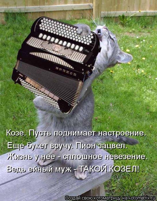 Ведь ейный муж - ТАКОЙ КОЗЕЛ! Козе. Пусть поднимает настроение. Жизнь у нее - сплошное невезение. Еще... Котоматрица: Ведь ейный муж - ТАКОЙ КОЗЕЛ! Козе. Пусть поднимает настроение. Жизнь у нее - сплошное невезение. Еще букет вручу. Пион зацвел.