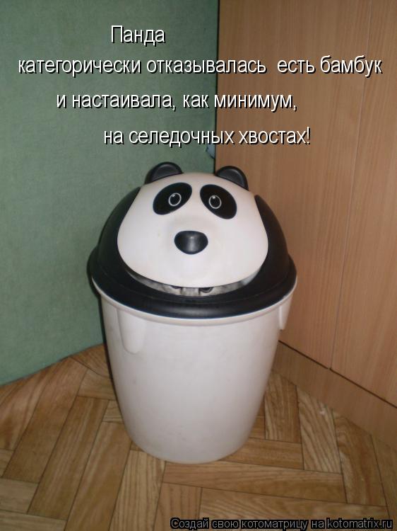 Панда категорически отказывалась есть бамбук и настаивала, как минимум, на селедочных хвостах!... Котоматрица: Панда категорически отказывалась есть бамбук и настаивала, как минимум, на селедочных хвостах!