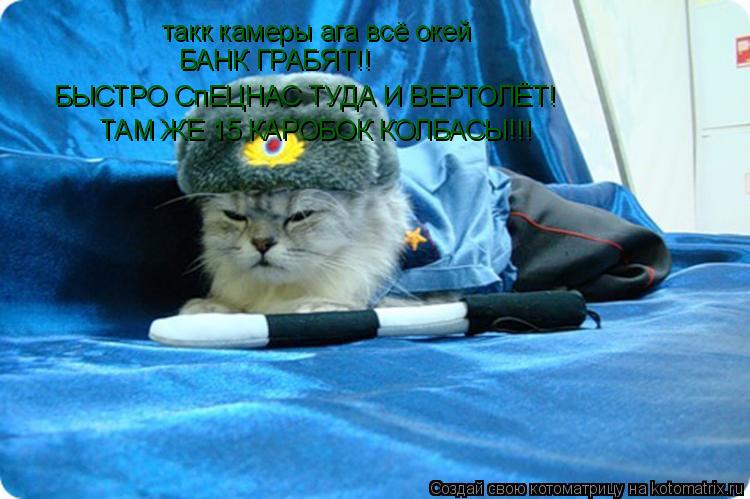 такк камеры ага всё окей БАНК ГРАБЯТ!! БЫСТРО СпЕЦНАС ТУДА И ВЕРТОЛЁТ! ТАМ ЖЕ 15 КАРОБОК КОЛБАСЫ!!!... Котоматрица: такк камеры ага всё окей БАНК ГРАБЯТ!! БЫСТРО СпЕЦНАС ТУДА И ВЕРТОЛЁТ! ТАМ ЖЕ 15 КАРОБОК КОЛБАСЫ!!!