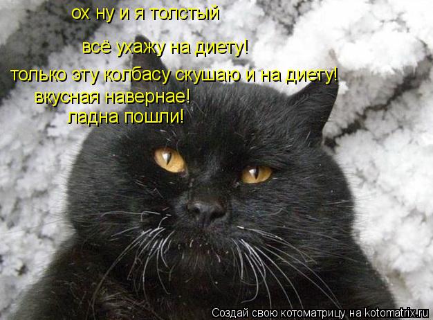 ох ну и я толстый всё ухажу на диету! только эту колбасу скушаю и на диету! вкусная навернае! ладна п... Котоматрица: ох ну и я толстый всё ухажу на диету! только эту колбасу скушаю и на диету! вкусная навернае! ладна пошли!