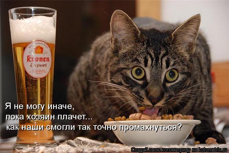 Я не могу иначе, пока хозяин плачет... как наши смогли так точно промахнуться?... Котоматрица: Я не могу иначе, пока хозяин плачет... как наши смогли так точно промахнуться?