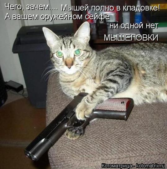 Чего, зачем.... Мышей полно в кладовке! А вашем оружейном сейфе ни одной нет МЫШЕЛОВКИ... Котоматрица: Чего, зачем.... Мышей полно в кладовке! А вашем оружейном сейфе ни одной нет МЫШЕЛОВКИ