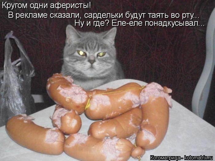 Кругом одни аферисты! В рекламе сказали, сардельки будут таять во рту... Ну и где? Еле-еле понадкусыв... Котоматрица: Кругом одни аферисты! В рекламе сказали, сардельки будут таять во рту... Ну и где? Еле-еле понадкусывал...