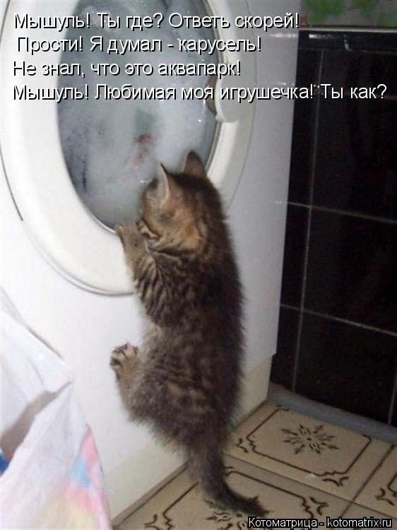 Мышуль! Ты где? Ответь скорей! Прости! Я думал - карусель! Мышуль! Любимая моя игрушечка! Ты как? Не ... Котоматрица: Мышуль! Ты где? Ответь скорей! Прости! Я думал - карусель! Мышуль! Любимая моя игрушечка! Ты как? Не знал, что это аквапарк!