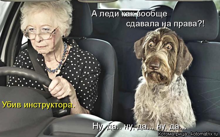 А леди как вообще сдавала на права?! Убив инструктора. Ну, да.. ну, да... ну, да...... Котоматрица: А леди как вообще сдавала на права?! Убив инструктора. Ну, да.. ну, да... ну, да...