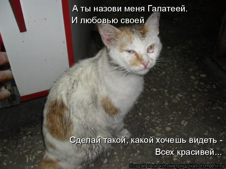 А ты назови меня Галатеей. И любовью своей Сделай такой, какой хочешь видеть - Всех красивей...... Котоматрица: А ты назови меня Галатеей. И любовью своей Сделай такой, какой хочешь видеть - Всех красивей...