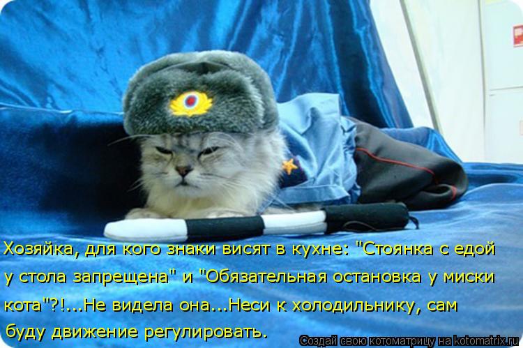 буду движение регулировать. кота"?!...Не видела она...Неси к холодильнику, сам Хозяйка, для кого зна... Котоматрица: буду движение регулировать. кота"?!...Не видела она...Неси к холодильнику, сам Хозяйка, для кого знаки висят в кухне: "Стоянка с едой у стола за?