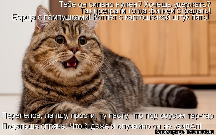Тебе он сильно нужен? Хочешь удержать? Так прекрати тогда фигнёй страдать! Борща с пампушками! Котлет... Котоматрица: Тебе он сильно нужен? Хочешь удержать? Так прекрати тогда фигнёй страдать! Борща с пампушками! Котлет с картошечкой штук пять! Подальше спря