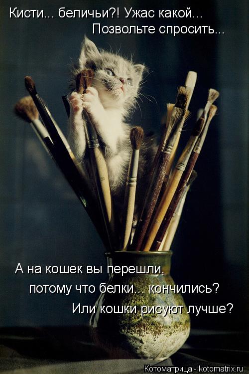 Кисти... беличьи?! Ужас какой... Позвольте спросить... А на кошек вы перешли, потому что белки... ко... Котоматрица: Кисти... беличьи?! Ужас какой... Позвольте спросить... А на кошек вы перешли, потому что белки... кончились? Или кошки рисуют лучше?