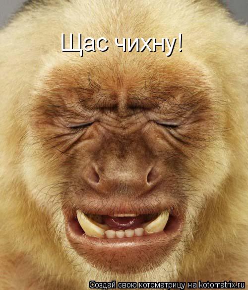 Котоматрица: Щас чихну!
