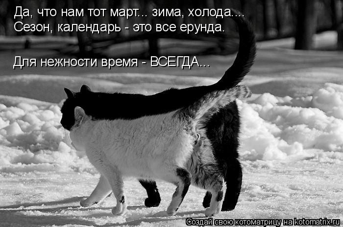 Да, что нам тот март... зима, холода.... Сезон, календарь - это все ерунда. Для нежности время - ВСЕГ... Котоматрица: Да, что нам тот март... зима, холода.... Сезон, календарь - это все ерунда. Для нежности время - ВСЕГДА...