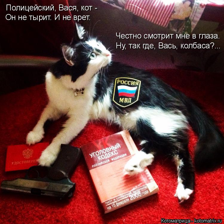 Полицейский, Вася, кот - Он не тырит. И не врет. Честно смотрит мне в глаза. Ну, так где, Вась, колб... Котоматрица: Полицейский, Вася, кот - Он не тырит. И не врет. Честно смотрит мне в глаза. Ну, так где, Вась, колбаса?...