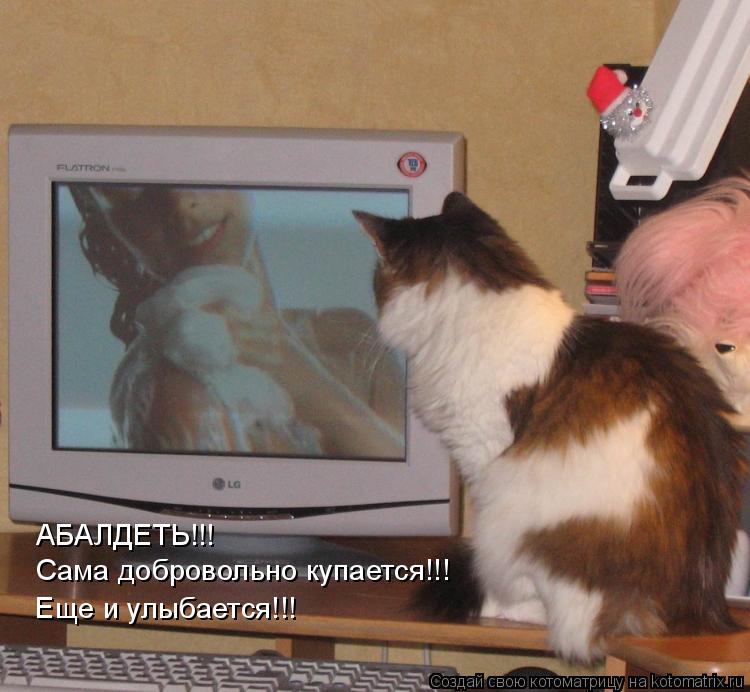 Котоматрица: АБАЛДЕТЬ!!! Сама добровольно купается!!! Еще и улыбается!!!