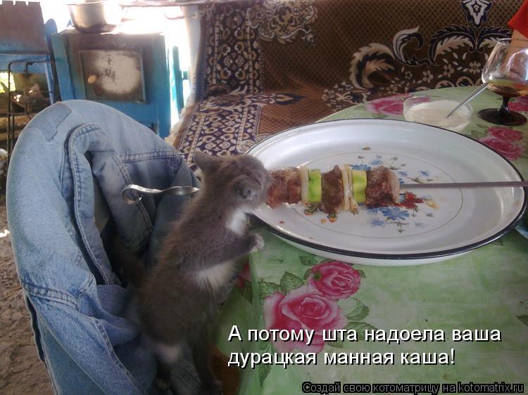 А потому шта надоела ваша дурацкая манная каша!... Котоматрица: А потому шта надоела ваша дурацкая манная каша!