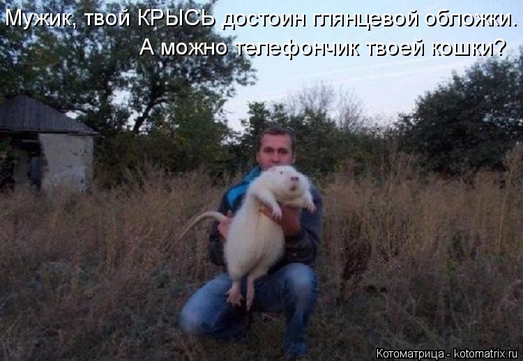 Мужик, твой КРЫСЬ достоин глянцевой обложки. А можно телефончик твоей кошки?... Котоматрица: Мужик, твой КРЫСЬ достоин глянцевой обложки. А можно телефончик твоей кошки?
