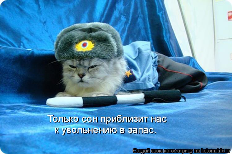 Только сон приблизит нас к увольнению в запас.... Котоматрица: Только сон приблизит нас к увольнению в запас.