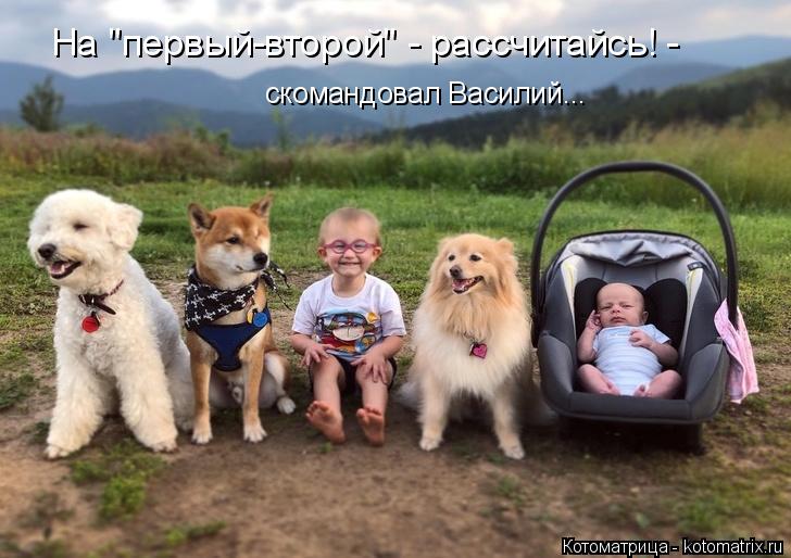 скомандовал Василий... На "первый-второй" - рассчитайсь! -... Котоматрица: скомандовал Василий... На "первый-второй" - рассчитайсь! -