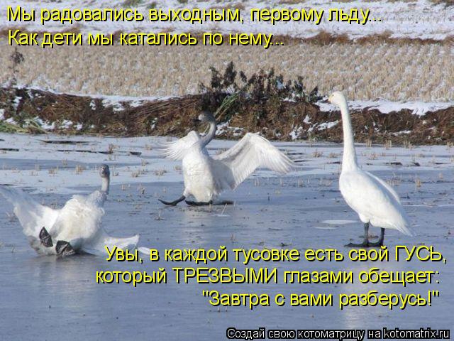 Котоматрица: Мы радовались выходным, первому льду... Как дети мы катались по нему... Увы, в каждой тусовке есть свой ГУСЬ, который ТРЕЗВЫМИ глазами обещает: