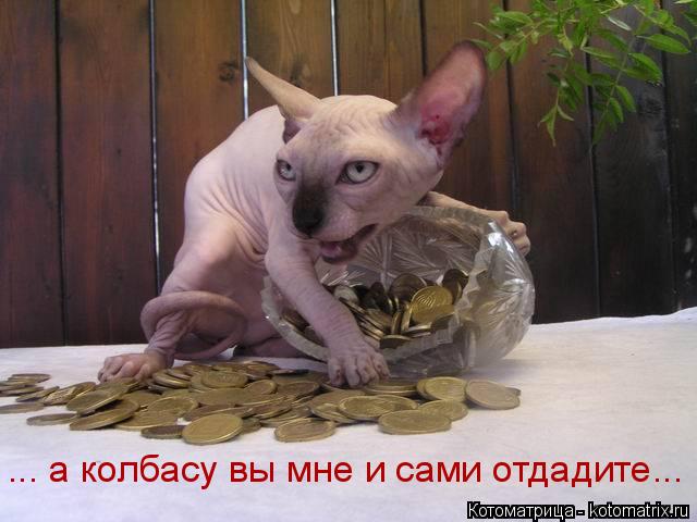 ... а колбасу вы мне и сами отдадите...... Котоматрица: ... а колбасу вы мне и сами отдадите...