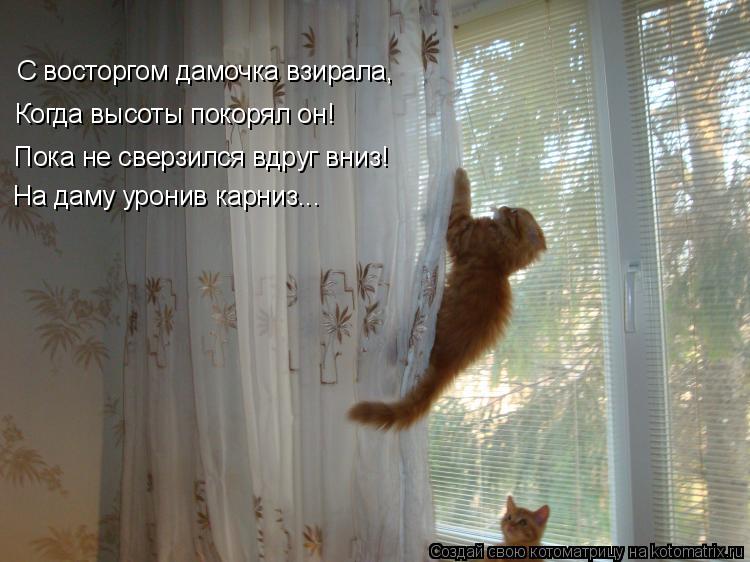 Котоматрица: С восторгом дамочка взирала, Когда высоты покорял он! Пока не сверзился вдруг вниз! На даму уронив карниз...