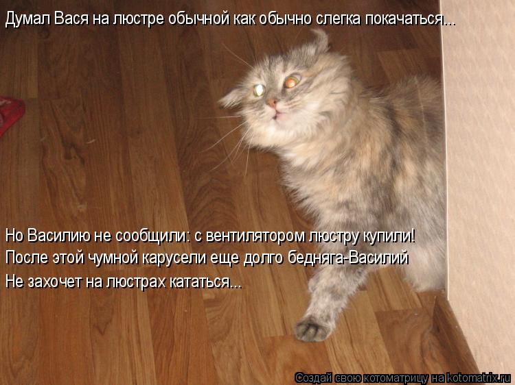 Думал Вася на люстре обычной как обычно слегка покачаться... Но Василию не сообщили: с вентилятором л... Котоматрица: Думал Вася на люстре обычной как обычно слегка покачаться... Но Василию не сообщили: с вентилятором люстру купили! После этой чумной карусел