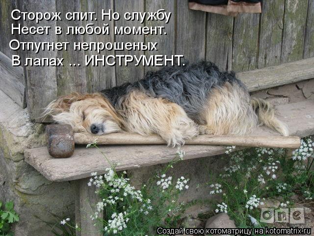 Сторож спит. Но службу Несет в любой момент. В лапах ... ИНСТРУМЕНТ. Отпугнет непрошеных... Котоматрица: Сторож спит. Но службу Несет в любой момент. В лапах ... ИНСТРУМЕНТ. Отпугнет непрошеных
