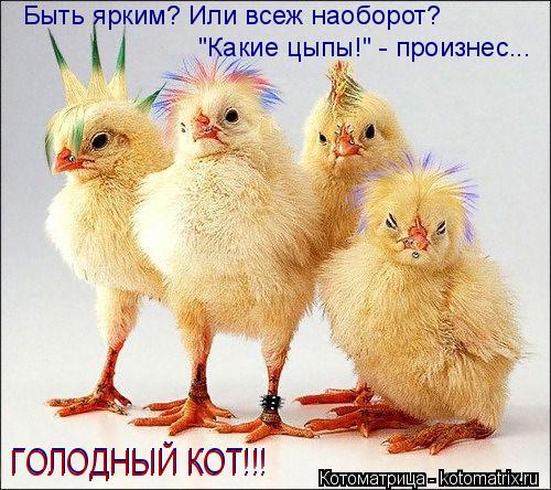 Быть ярким? Или всеж наоборот? "Какие цыпы!" - произнес... ГОЛОДНЫЙ КОТ!!! ГОЛОДНЫЙ КОТ!!!... Котоматрица: Быть ярким? Или всеж наоборот? "Какие цыпы!" - произнес... ГОЛОДНЫЙ КОТ!!! ГОЛОДНЫЙ КОТ!!!