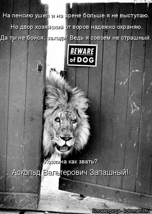 На пенсию ушел и на арене больше я не выступаю. Но двор хозяйский от воров надежно охраняю. Да ты не ... Котоматрица: На пенсию ушел и на арене больше я не выступаю. Но двор хозяйский от воров надежно охраняю. Да ты не бойся, заходи! Ведь я совсем не страшный. ?