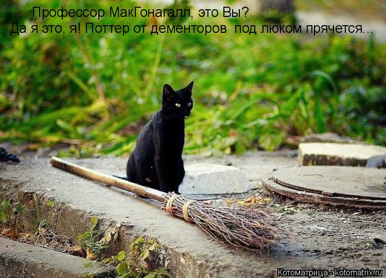 Профессор МакГонагалл, это Вы? Да я это, я! Поттер от дементоров под люком прячется...... Котоматрица: Профессор МакГонагалл, это Вы? Да я это, я! Поттер от дементоров под люком прячется...