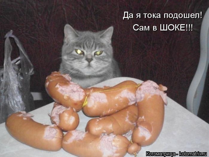 Котоматрица: Да я тока подошел! Сам в ШОКЕ!!!