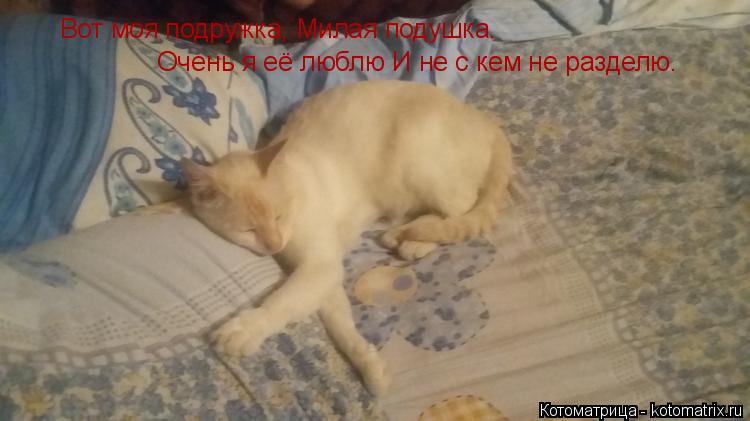 Вот моя подружка, Милая подушка. Очень я её люблю И не с кем не разделю.... Котоматрица: Вот моя подружка, Милая подушка. Очень я её люблю И не с кем не разделю.