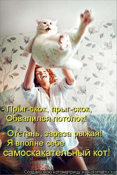 - Прыг-скок, прыг-скок, Обвалился потолок! - Отстань, зараза рыжая! Я вполне себе самоскакательный к... Котоматрица: - Прыг-скок, прыг-скок, Обвалился потолок! - Отстань, зараза рыжая! Я вполне себе самоскакательный кот!
