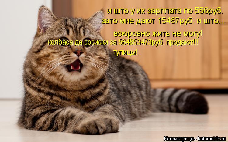 и што у их зарплата по 556руб. зато мне дают 15467руб. и што... всюровно жить не могу! колбаса да с... Котоматрица: и што у их зарплата по 556руб. зато мне дают 15467руб. и што... всюровно жить не могу! колбаса да сосиски за 564853473руб. продают!!! тупицы!