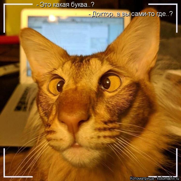 - Это какая буква..? - Доктор, а вы сами-то где..?... Котоматрица: - Это какая буква..? - Доктор, а вы сами-то где..?
