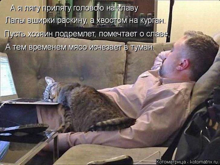 А я лягу прилягу головою на клаву Лапы вширки раскину, а хвостом на курган. Пусть хозяин подремлет, п... Котоматрица: А я лягу прилягу головою на клаву Лапы вширки раскину, а хвостом на курган. Пусть хозяин подремлет, помечтает о славе, А тем временем мясо ис?