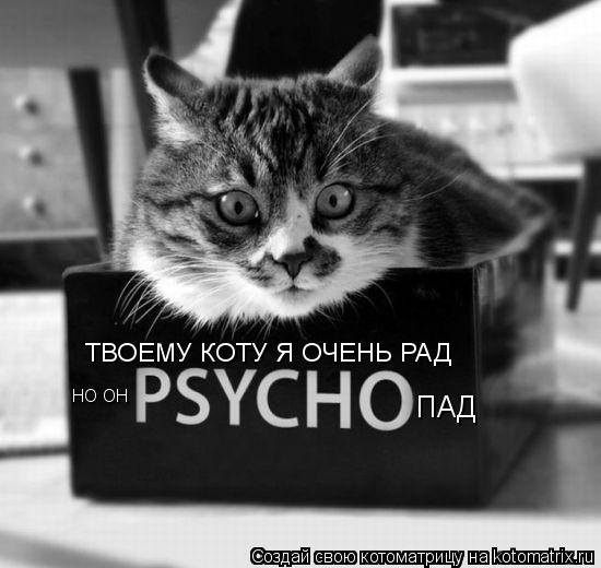 ТВОЕМУ КОТУ Я ОЧЕНЬ РАД НО ОН ПАД... Котоматрица: ТВОЕМУ КОТУ Я ОЧЕНЬ РАД НО ОН ПАД