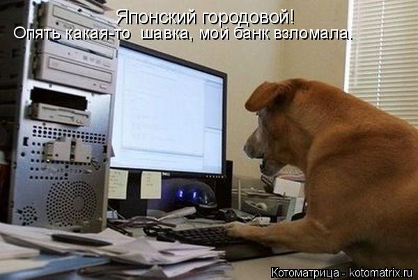 Японский городовой! Опять какая-то шавка, мой банк взломала.... Котоматрица: Японский городовой! Опять какая-то шавка, мой банк взломала.