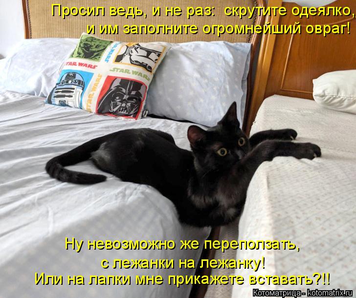 Или на лапки мне прикажете вставать?!! и им заполните огромнейший овраг! Ну невозможно же переползать... Котоматрица: Или на лапки мне прикажете вставать?!! и им заполните огромнейший овраг! Ну невозможно же переползать, с лежанки на лежанку! Просил ведь, и не