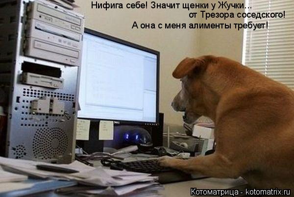 Нифига себе! Значит щенки у Жучки... от Трезора соседского! А она с меня алименты требует!... Котоматрица: Нифига себе! Значит щенки у Жучки... от Трезора соседского! А она с меня алименты требует!