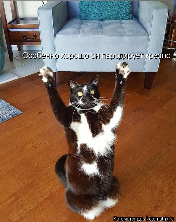 Котоматрица: Особенно хорошо он пародирует кресло
