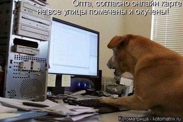 Опта, согласно онлайн карте не все улицы помечены и окучены!... Котоматрица: Опта, согласно онлайн карте не все улицы помечены и окучены!