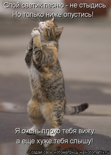 Спой светик песню - не стыдись. Но только ниже опустись! а еще хуже тебя слышу! Я очень плохо тебя ви... Котоматрица: Спой светик песню - не стыдись. Но только ниже опустись! а еще хуже тебя слышу! Я очень плохо тебя вижу,