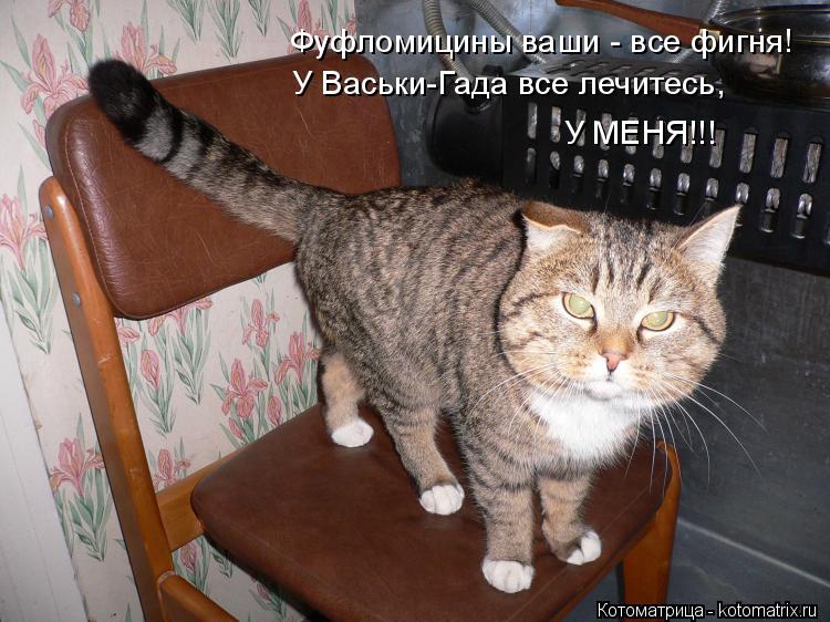 Фуфломицины ваши - все фигня! У Васьки-Гада все лечитесь, У МЕНЯ!!!... Котоматрица: Фуфломицины ваши - все фигня! У Васьки-Гада все лечитесь, У МЕНЯ!!!