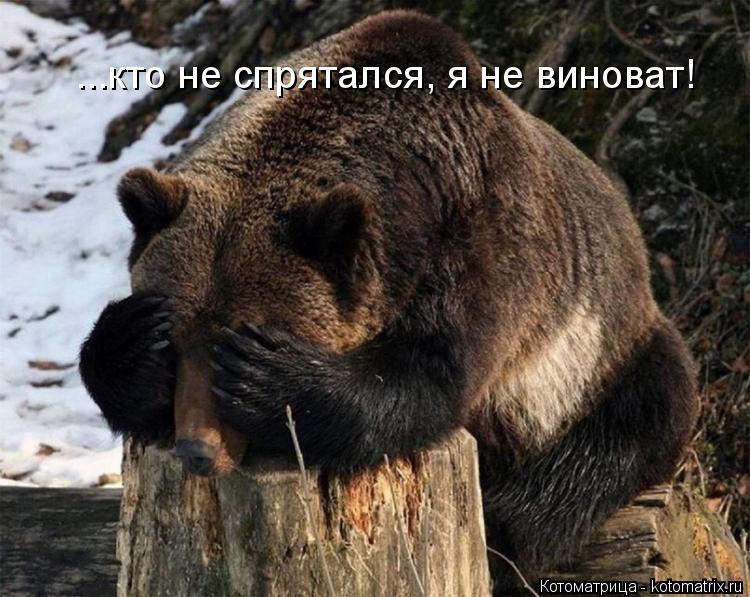 ...кто не спрятался, я не виноват!... Котоматрица: ...кто не спрятался, я не виноват!