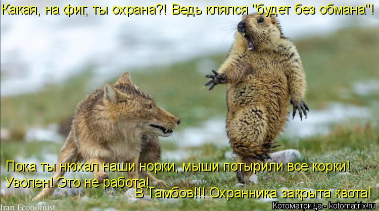Какая, на фиг, ты охрана?! Ведь клялся "будет без обмана"! В Тамбов!!! Охранника закрыта квота! Уволе... Котоматрица: Какая, на фиг, ты охрана?! Ведь клялся "будет без обмана"! В Тамбов!!! Охранника закрыта квота! Уволен! Это не работа! Пока ты нюхал наши норки, м?